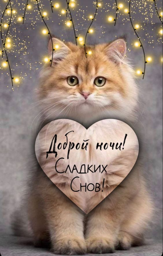 Доброй Ночи Сладких Снов!. Открытка Спокойной Ночи для Друзей