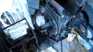 Шнековый набивщик грибных блоков