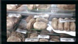 Камчатка. 8 дней на полуострове.