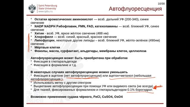 Основы гистологической техники. Лекция 8. смотреть онлайн