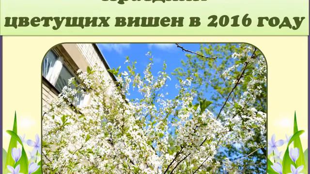 Вишневый сад у стен Чеховки. К 10-летию закладки смотреть онлайн