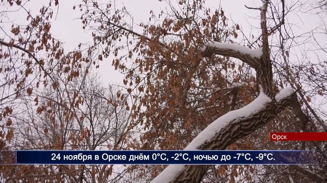 21112022 На этой неделе погода в Орске будет переменчивой смотреть онлайн