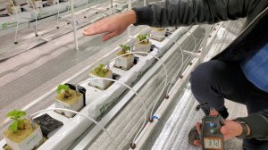 КЛУБНИКА НА МИН ВАТЕ СТАРТАНУЛА // УСТРОЙСТВО ЭЛЕКТРО ЩИТА // ОБРАЩЕНИЕ К ХЕЙТЕРАМ =))