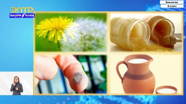 8-класс | Биология | Иммунитет – защитная реакция организма смотреть онлайн