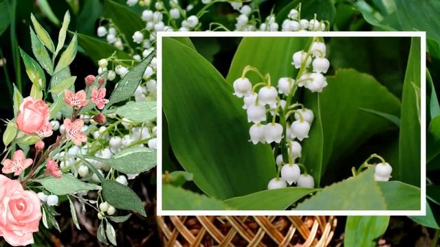 ФотоШоу PRO!!! Проекты ФотоШоу PRO! Проект 132 С Днём Рождения! Ландышевая Сказка!!! смотреть онлайн