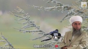 Эшони Нуриддинчон. Газал дар васфи Хазрати Умар (р).