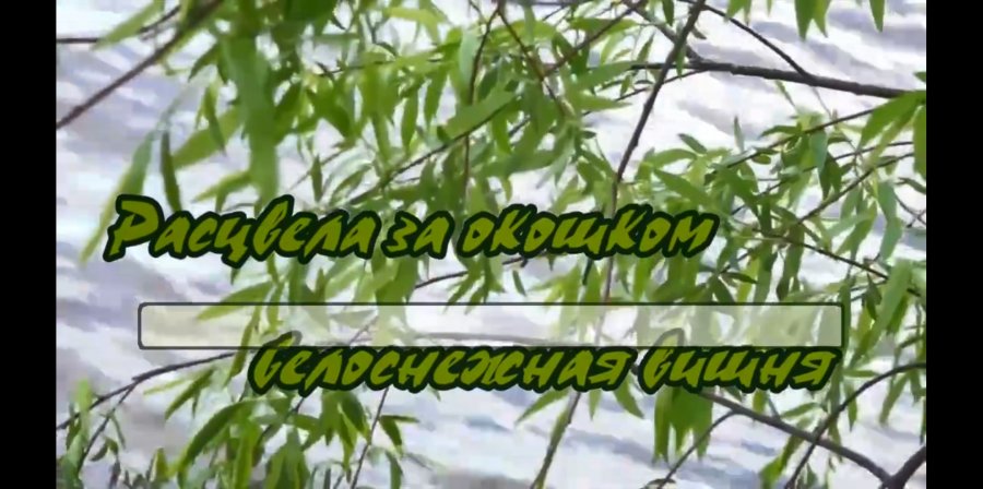 Зимняя вишня караоке. Расцвела под окошком белоснежная вишня текст караоке. Расцвела под окошком белоснежная вишня слушать онлайн бесплатно. Песня расцвела под окошком белоснежная вишня слушать. Живопись расцвела под окошком белоснежная вишня.