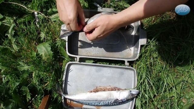 Копчение скумбрии. Домашнее копчение