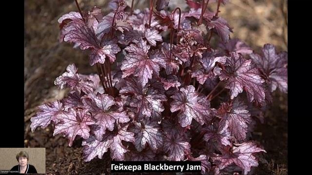 Интересная композиция для тени и полутени! смотреть онлайн