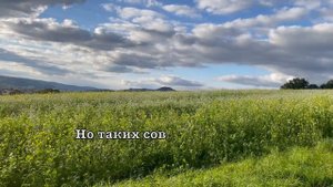 Соработники у Бога. Елена Ваймер