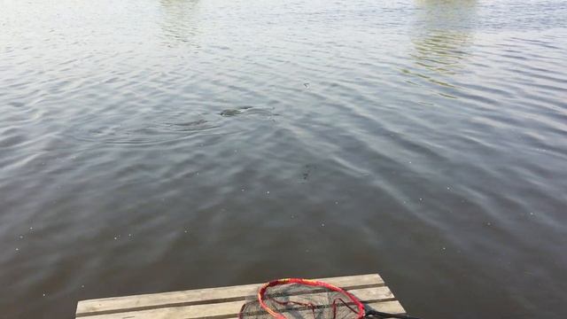 Игумное Дурниха смотреть онлайн