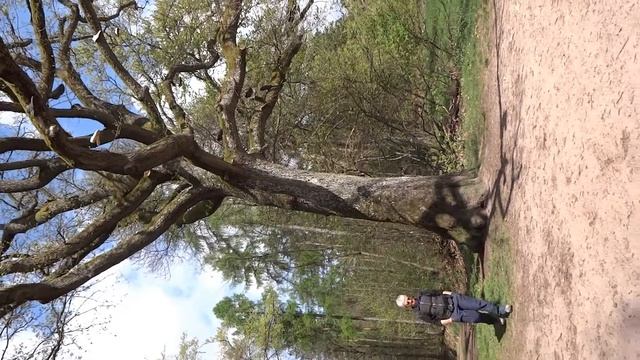 Moselcamino Klausen Trier Perl Vezelay 4 2014 смотреть онлайн