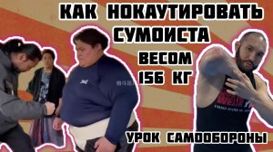 Как нокаутировать в солнечное сплетение СУМОИСТА весом 156 кг