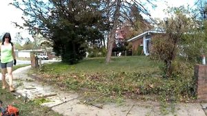 Overgrown Property Cleanup Transformation (21041101)