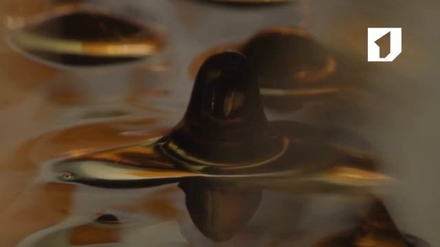 Утренний эфир / Подсолнечное или оливковое масло: что выбрать? смотреть онлайн