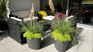 ВАРИАНТЫ КОМПОЗИЦИЙ ЦВЕТОВ в кашпо и вазонах 7 #цветы #цветыдлясада #композициицветов#идеидлясада