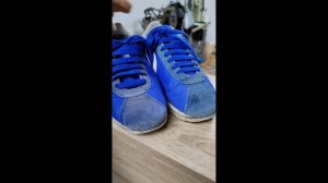 InShot_20230226_184145771.mp4