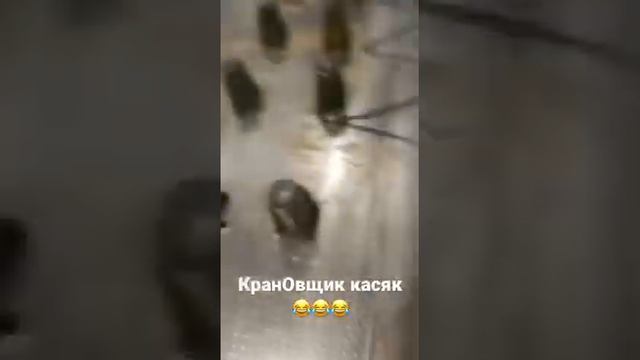 Прикол КранОвщик косяк🤣🤣🤣