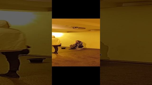 УЛИЧНЫЕ МУЗЫКАНТЫ СПБ , ЭТО ПИТЕР ДЕТКА , ТИПИЧНЫЙ ПИТЕР , ТВОРЧЕСТВО