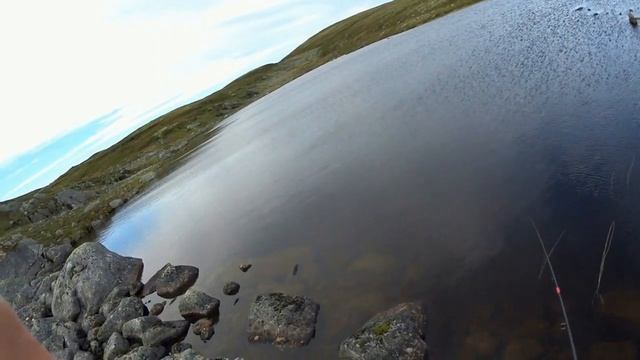 Рыбалка на Кольском полуострове,поход в тундру на поиски рыбацкого эльдорадо смотреть онлайн