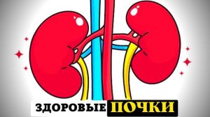 ЗДОРОВЫЕ ПОЧКИ И МОЧЕВАЯ СИСТЕМА ? ИСЦЕЛЕНИЕ ОРГАНОВ | САБЛИМИНАЛЫ