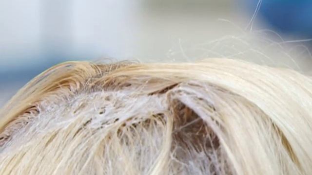 2308 Азбука смотреть онлайн