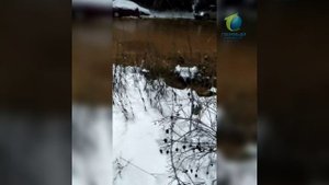 Потоп в Кирово-Чепецке