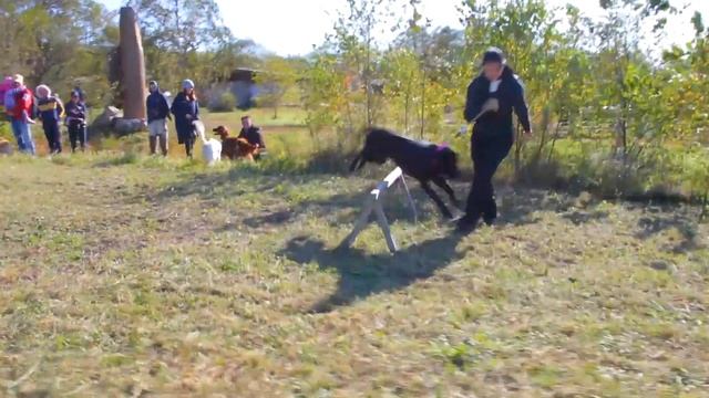 БЕЛЫЙ КРОЛИК в арт-парке Штыковские пруды смотреть онлайн