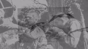 Журавли. История создания легендарной песни.