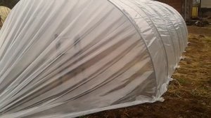 Теплица туннель / Балаган / Caterpillar Tunnel