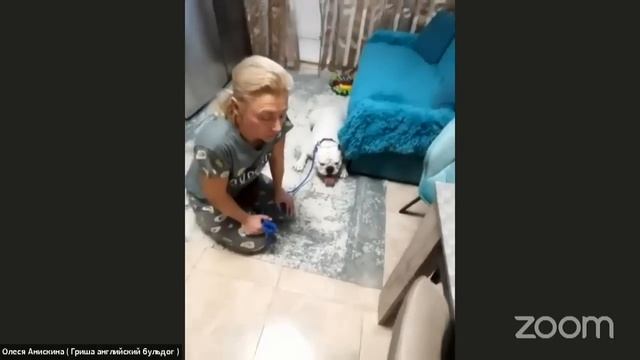 Страхи, неуверенность и агрессия в ванной комнате смотреть онлайн