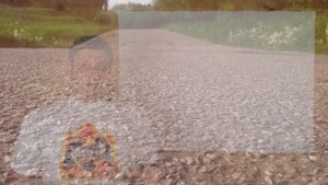 Острота ножа, что это? (серия "Заточка", часть 1/5, доп. 4/12)