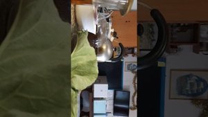 Как ухаживать за мотыльком в домашних условиях