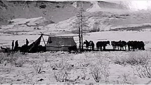 ДЕРЖИСЬ, ГЕОЛОГ - Влад НЕЖНЫЙ