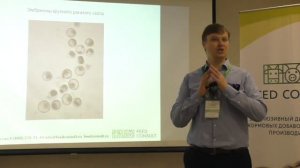 Эмбриональная смертность