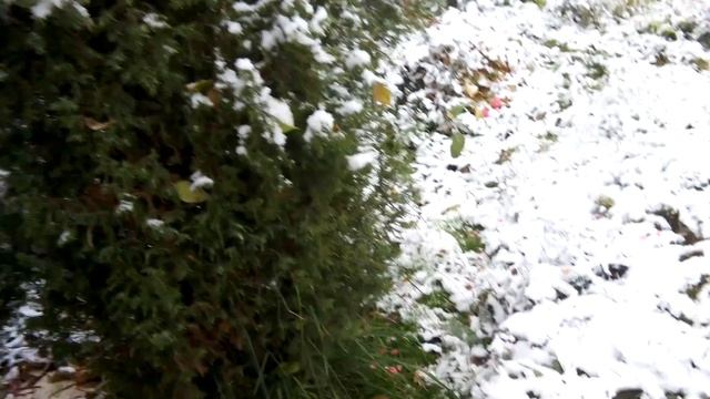 У нас выпал СНЕГ 23 10 2017 смотреть онлайн