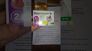 Как вылечить лишай