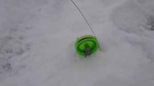 Отчёт о рыбалке 31.01.21 река Орь в районе пос. Истемис