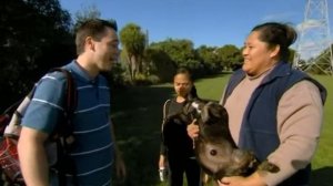 день любящего хозяина