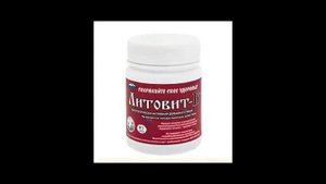 Мастер   класс Кристины Барской Литовиты АРГО КАЗАХСТАН