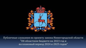 Публичные слушания по проекту закона Нижегородской области об областном бюджете на 2023-2025 годы