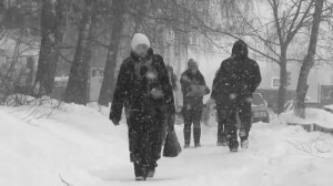 2014 - Черно-белое кино (Трофим)