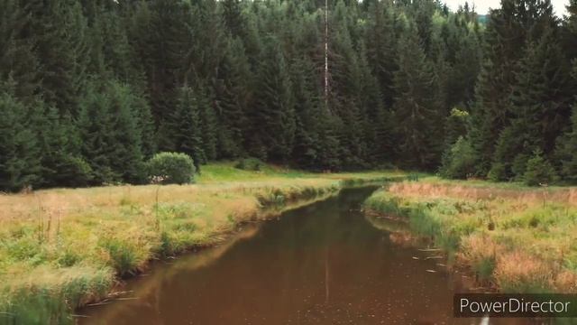 Святая Решимость / Дар☀РА /                          ☀️ Дыхание ? Любви ?