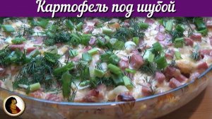Картофель под шубой. Картошка в духовке под сырным соусом
