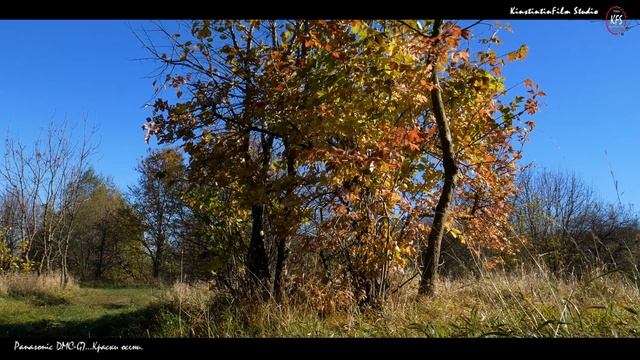 Panasonic DMC-G7 Кit 14-42 и Olympus M.Zuiko Digital ED 40-150mm... Первый опыт...Краски осени... смотреть онлайн