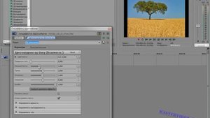 Sony Vegas 14.Эффект сохранения цвета в черно-белом видео.