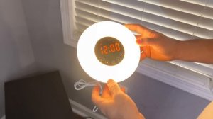 Потерянные Посылки / 19 Посылок заработали $833