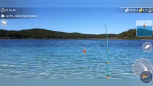 Шип▶Осетровые ▶My fishing world▶мой рыболовный мир▶где и на что ловить шипа