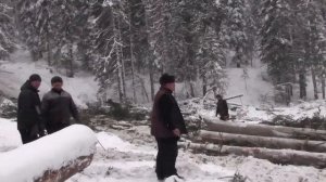 ИП Круч - Лес, пиломатериал из Кабырзы и Таштагола