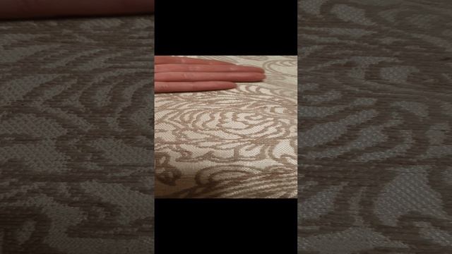 Кошка спряталась